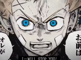 The Vermillion Mask Anime