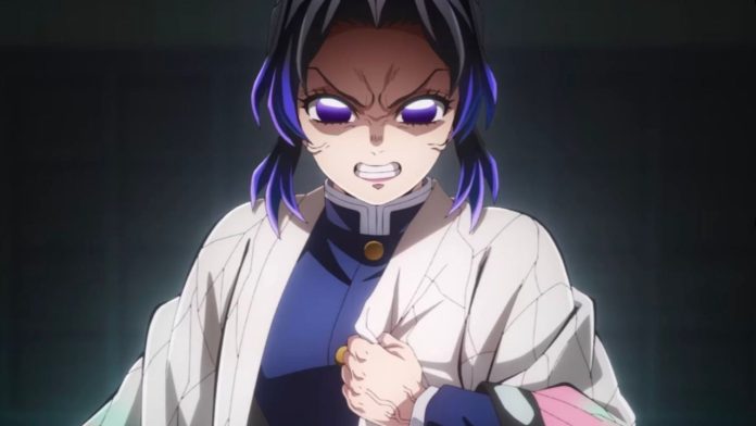 Demon Slayer: Infinity Castle Record