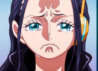 One Piece Anime Goes On A Two Week Hiatus One Piece Delayed