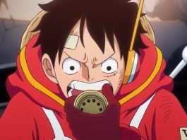 One Piece Anime Annual Schedule
