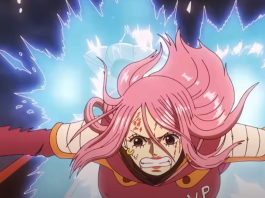 One Piece Episode 1146
